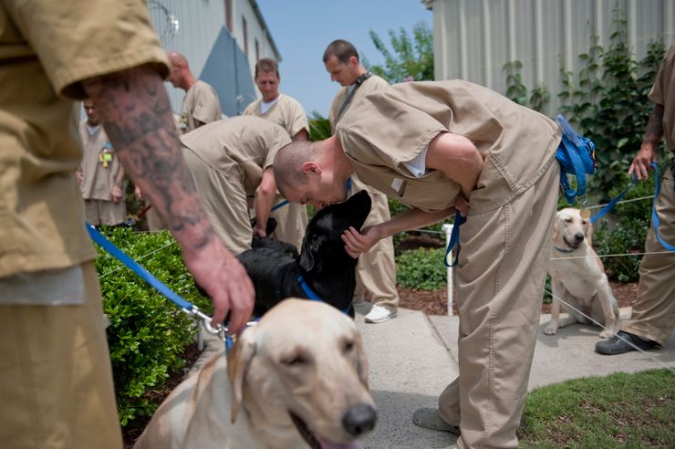 Prisoners train dogs at Bay Correctional Facility in Panama City, Fla. 