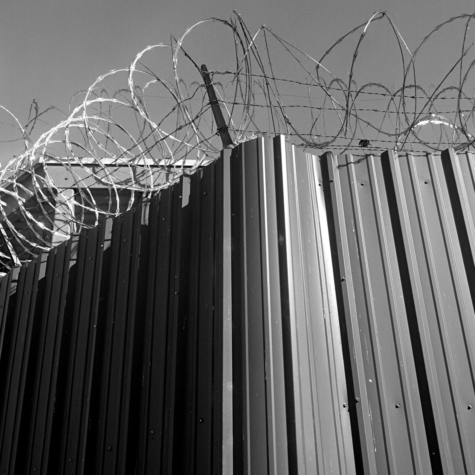 Barbed wire outside the facility. 