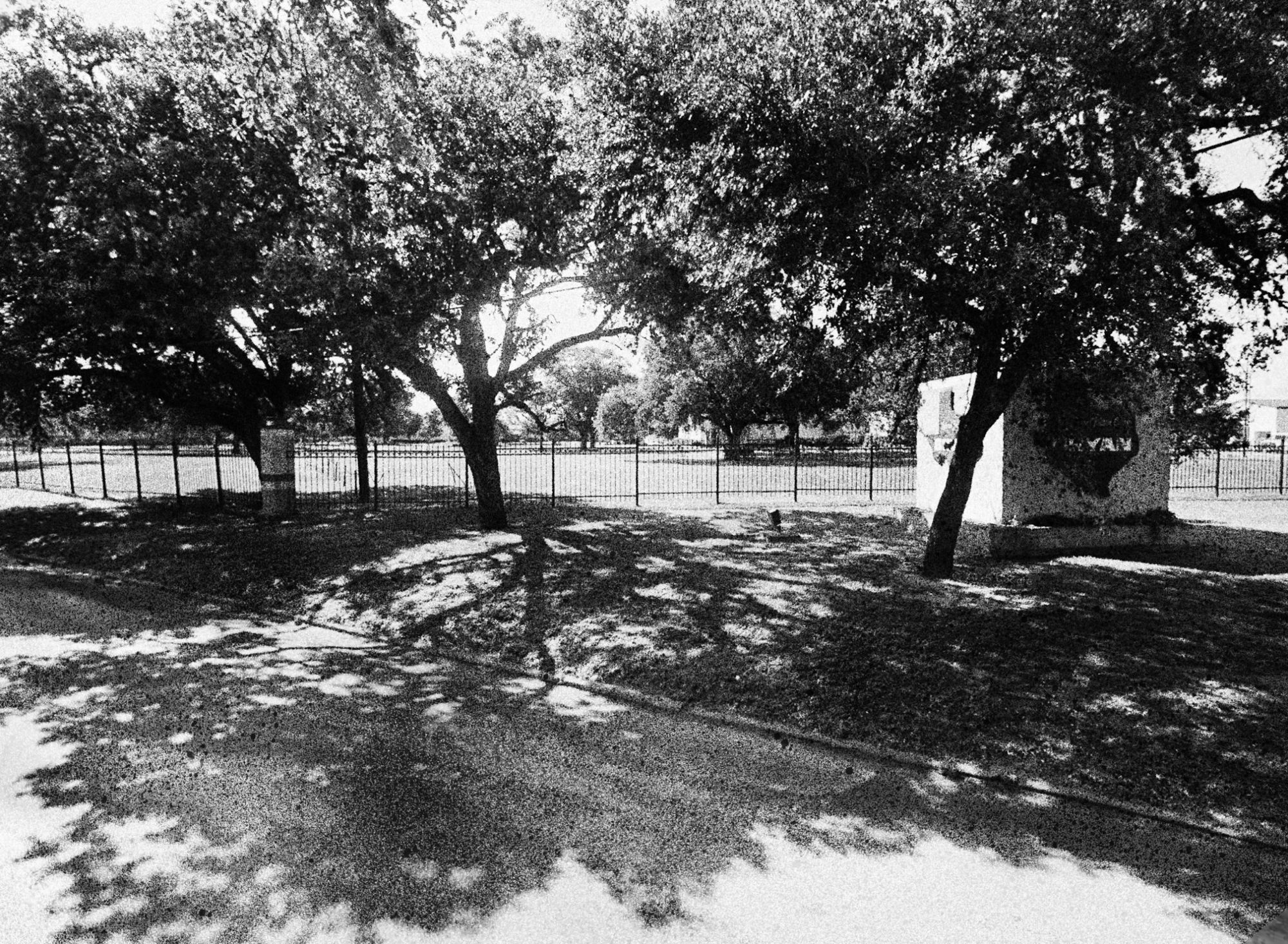 A black-and-white photo shows a sign reading “Bryan” within the outline of a map of Texas. Trees are visible in a grassy area, and fencing is visible in the background. 
