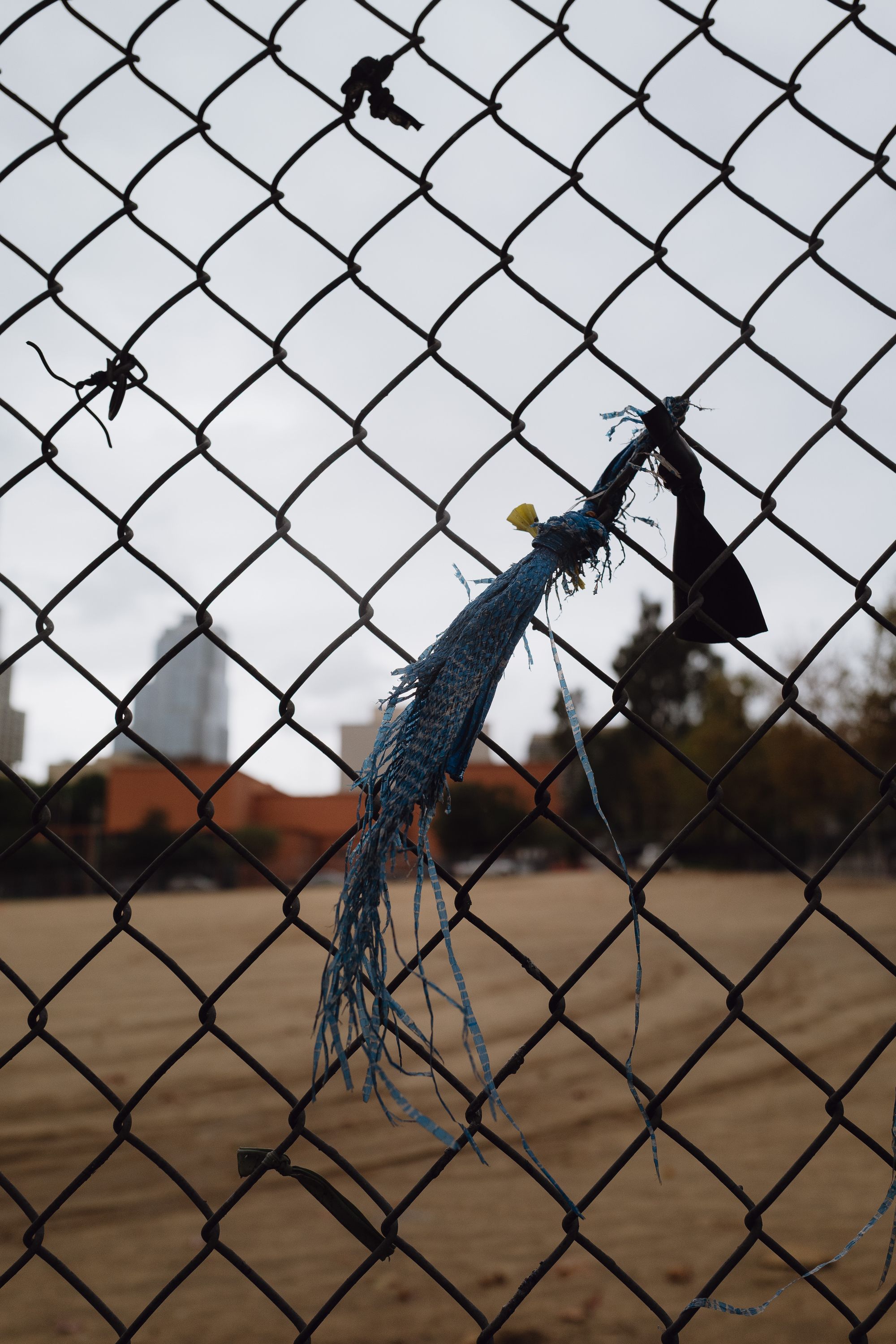 A photo shows a chain link fence that has a tattered strip of fabric tied to it. 