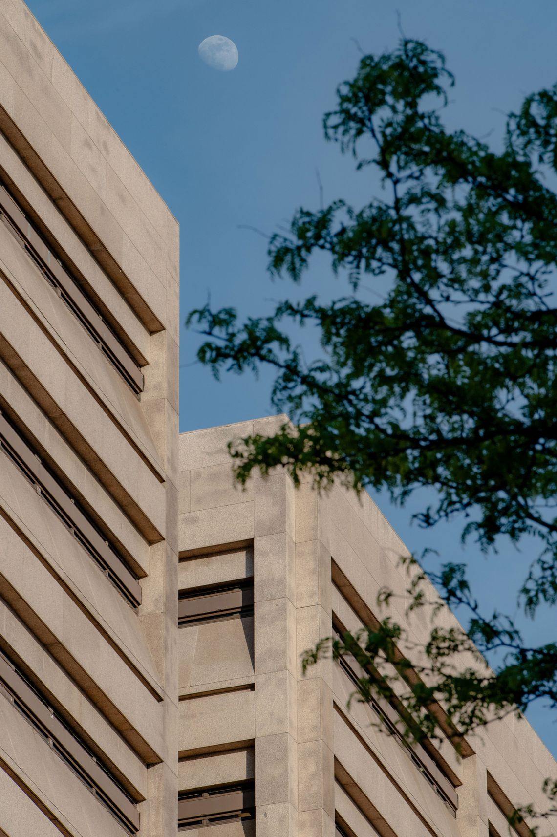 A photo, taken from a low angle, shows the outside of a light brown tower with narrow, horizontal windows. The moon and blue sky are visible above the building, and part of a tree is visible in the foreground.
