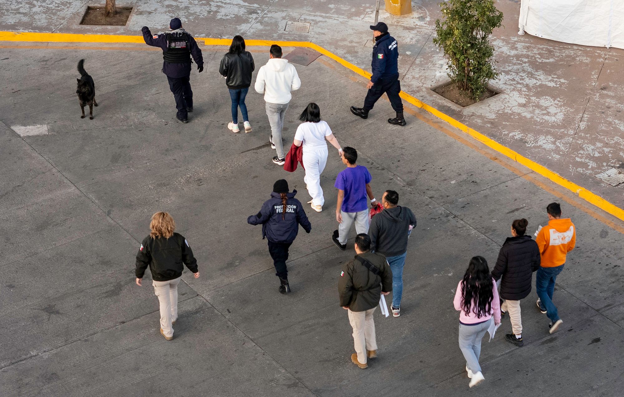 A photograph with an aerial view shows a group of eight people walking on a road as they follow several immigration officers.