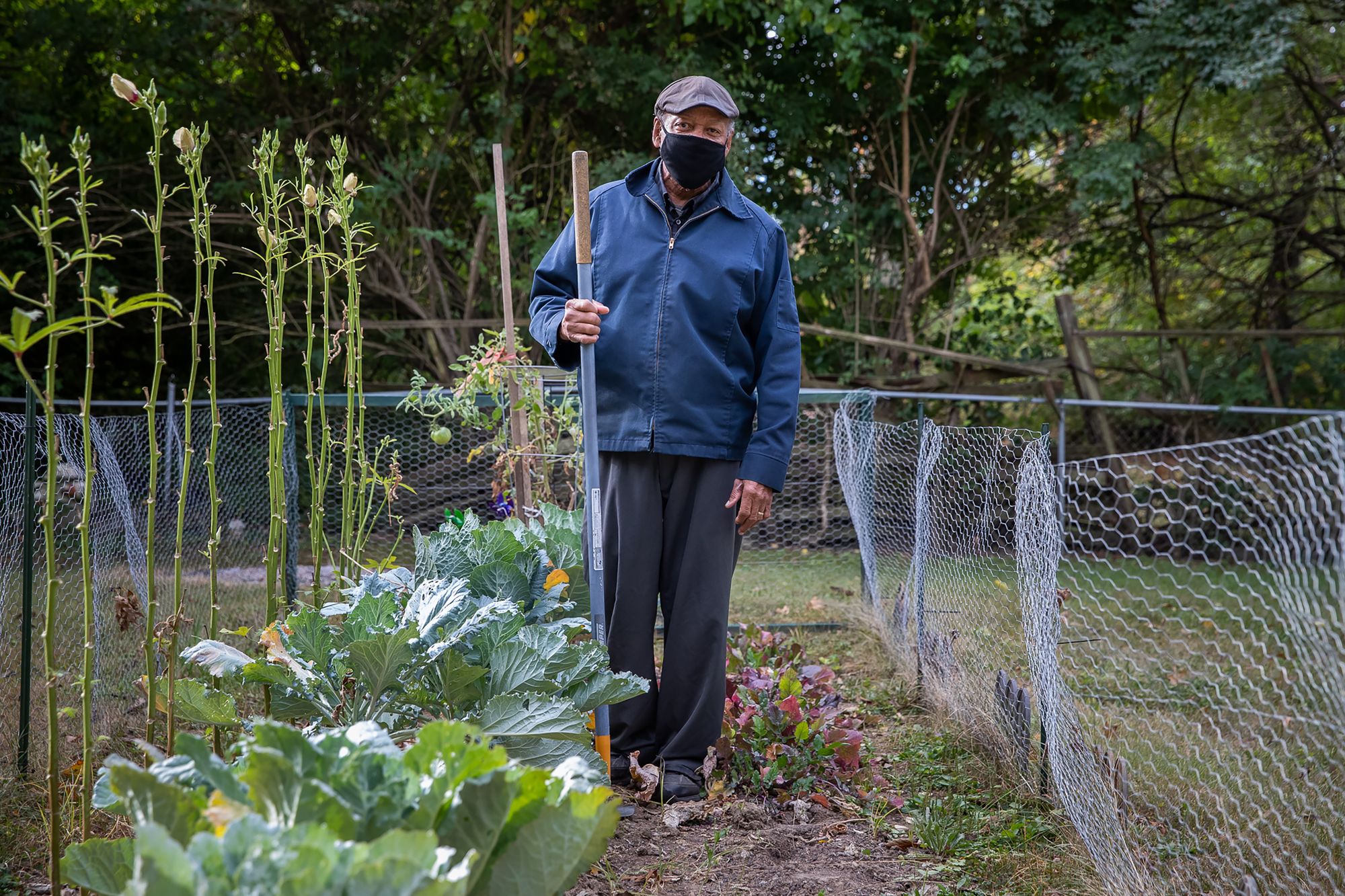 Gordon Mitchum Sr., a retired mail handler of 43 years, tends to his garden at his home, where an Indianapolis police dog appeared unexpectedly in May 2018 and bit him.