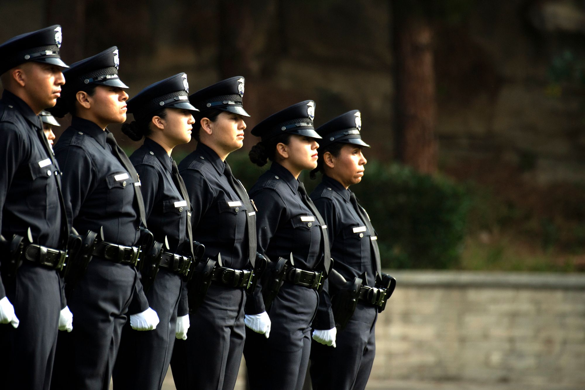 Police officers are lined up diagonally. 