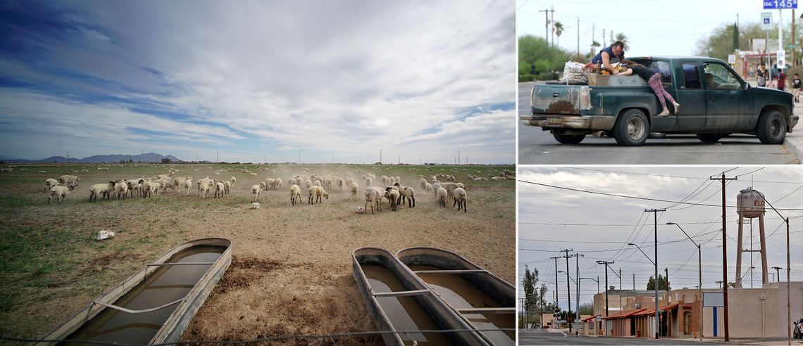 From left: Sheep on a farm along Arizona's Route 287; People load laundry into a truck in Eloy, Ariz.; Eloy's water tower looms over single-storied structures that line North Main Street. 