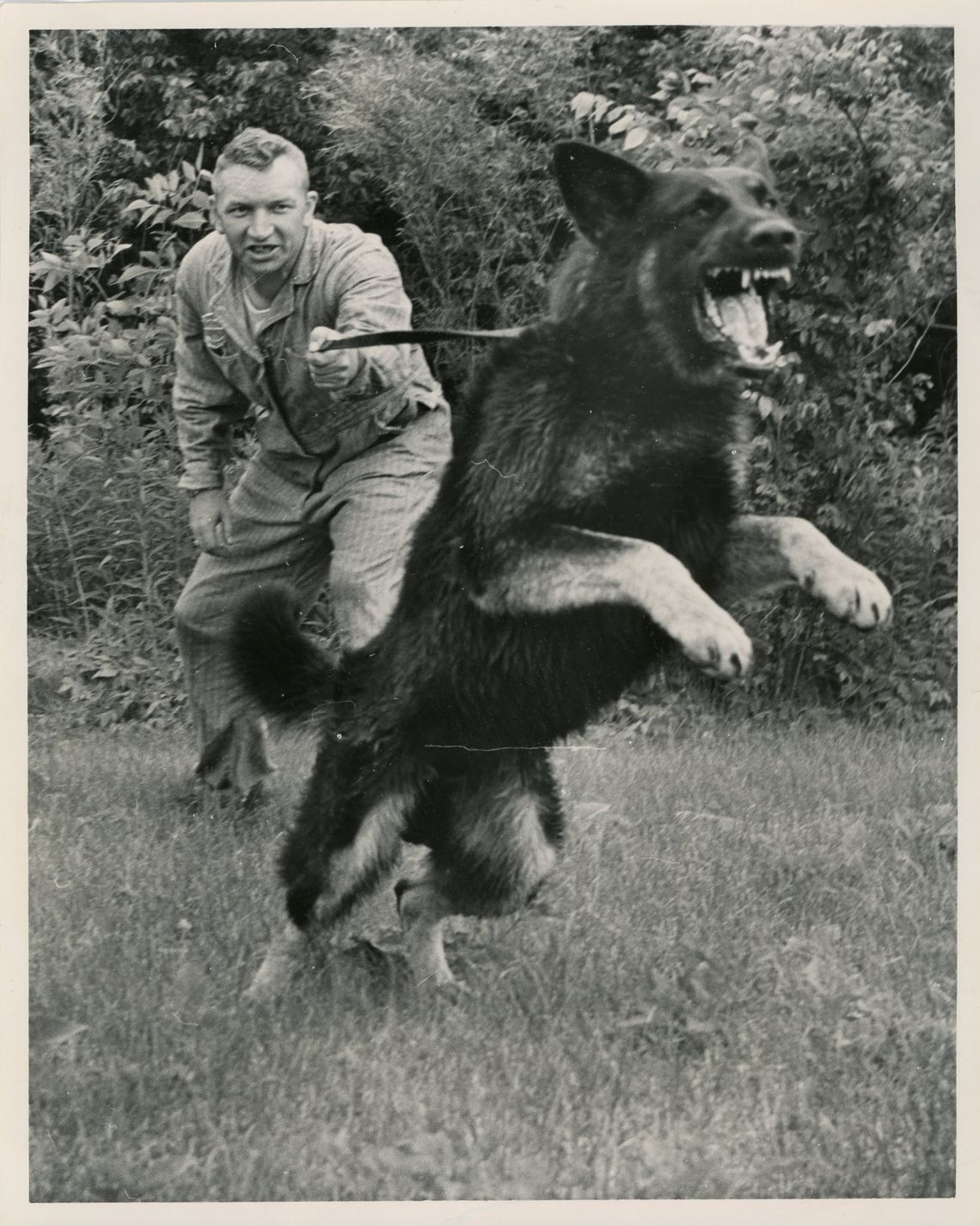 Patrolman William C. Ball with his police dog Thor. Indianapolis founded its K-9 unit back in 1960 to prevent petty crimes such as purse snatchings and burglaries, according to IndyStar archives, as well as to break up "trouble-causing mobs."