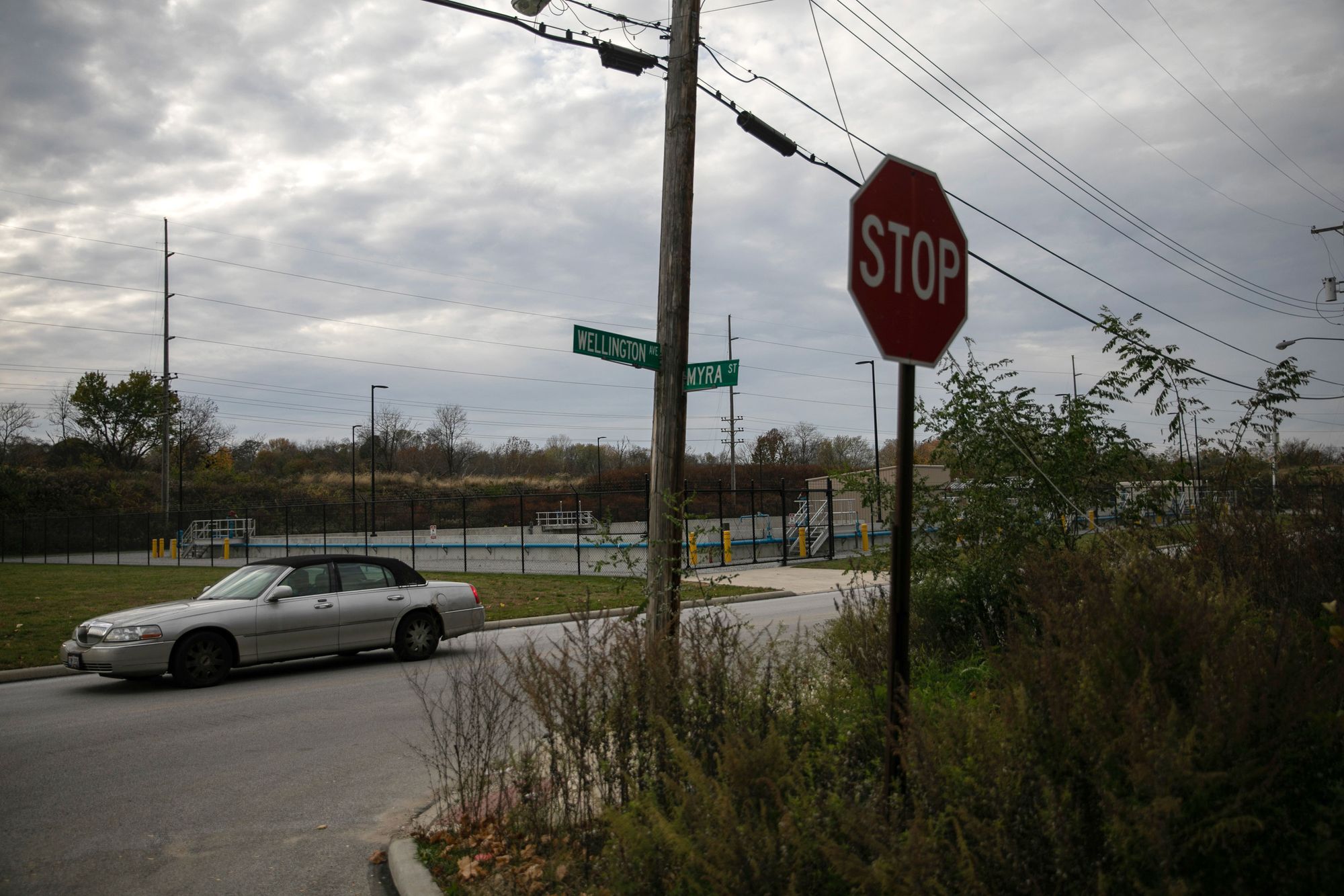 The cross street signs seen at the corner of Wellington Avenue and Myra Street in Akron. 