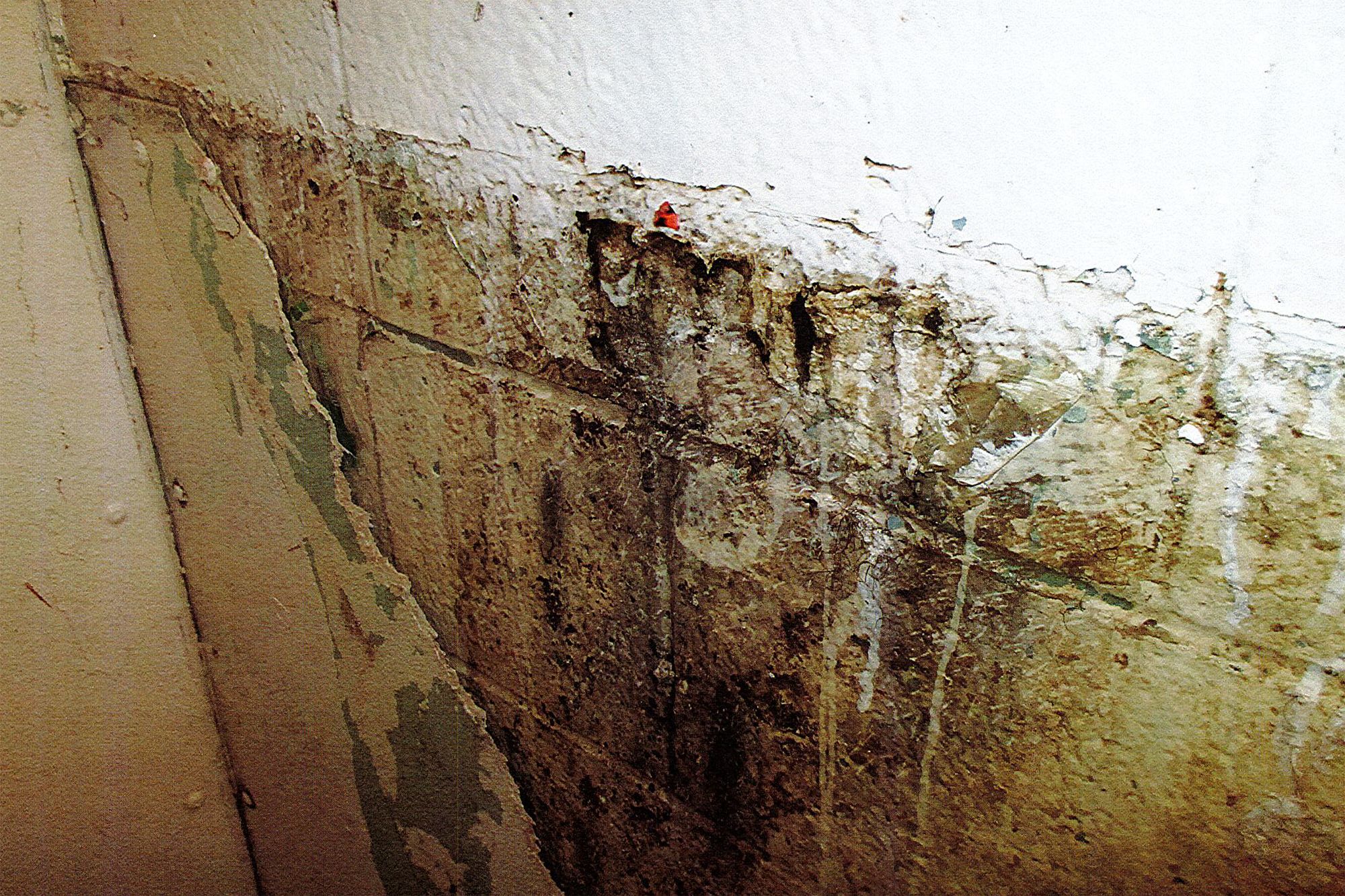 A photo shows a dirty and peeling wall. 