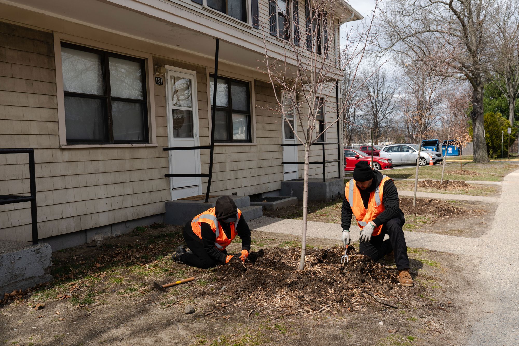 A photo of two people in orange safety vests on the ground patting mulch around a bare tree in front of a beige building. 
