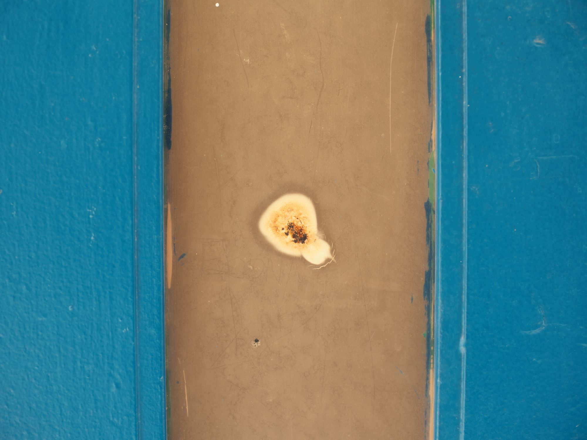 A photo shows a bullet mark a blue and brown door.