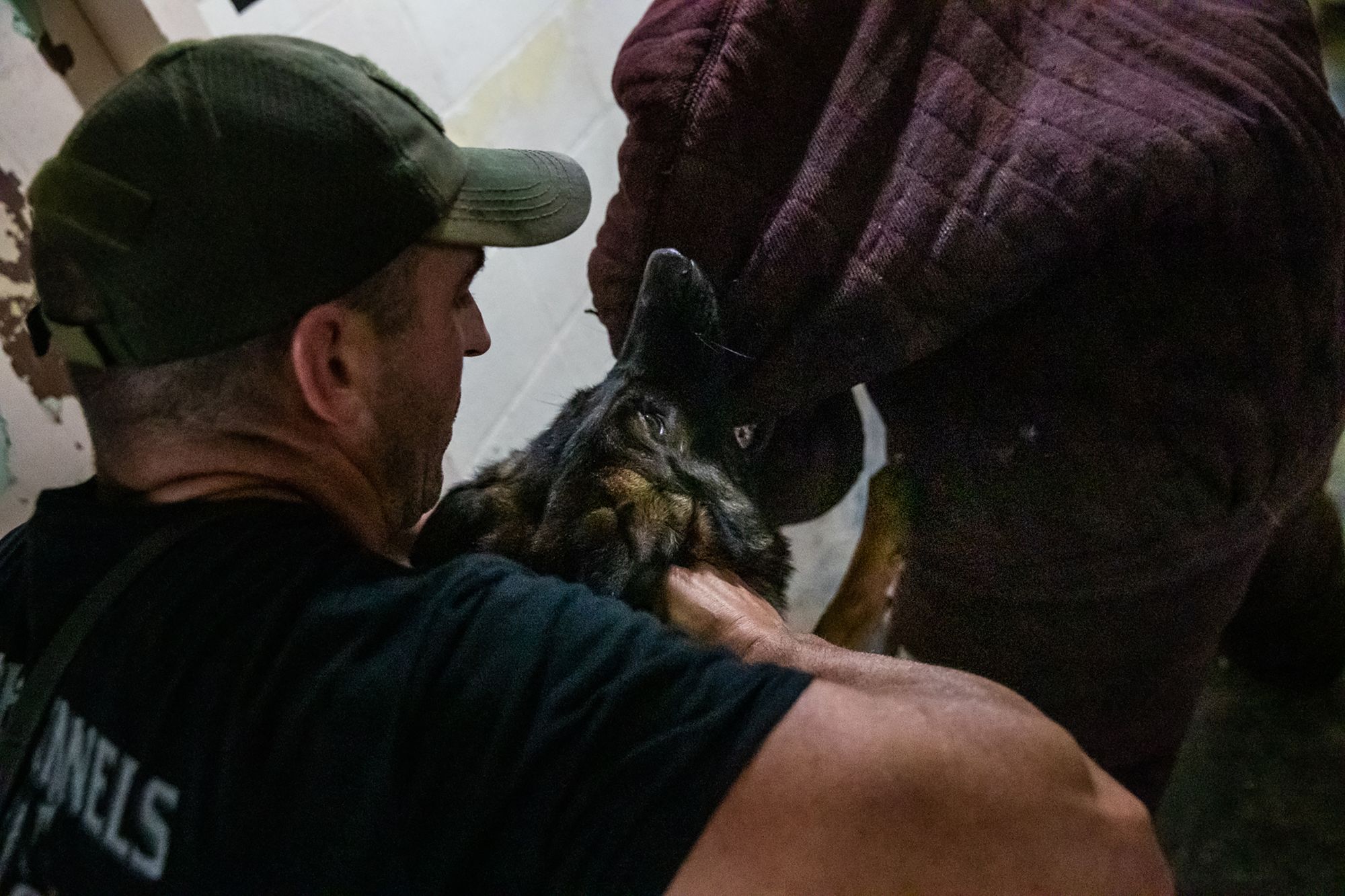 Adam Elliott, of the Stillwater Police Department in Oklahoma, works to release his K-9, Rotex, from a bite on a person acting as a decoy during training at Vohne Liche Kennels on Wednesday, Sept. 9, 2020.