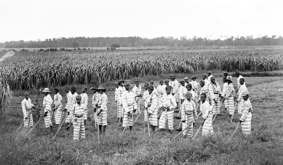 A group of several dozen incarcerated people, all with dark-toned skin, wear white and gray striped uniforms, and hold farm implements while standing in a field. 