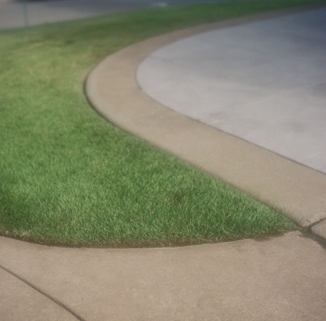 A close-up detail of trimmed grass next to a walkway. 