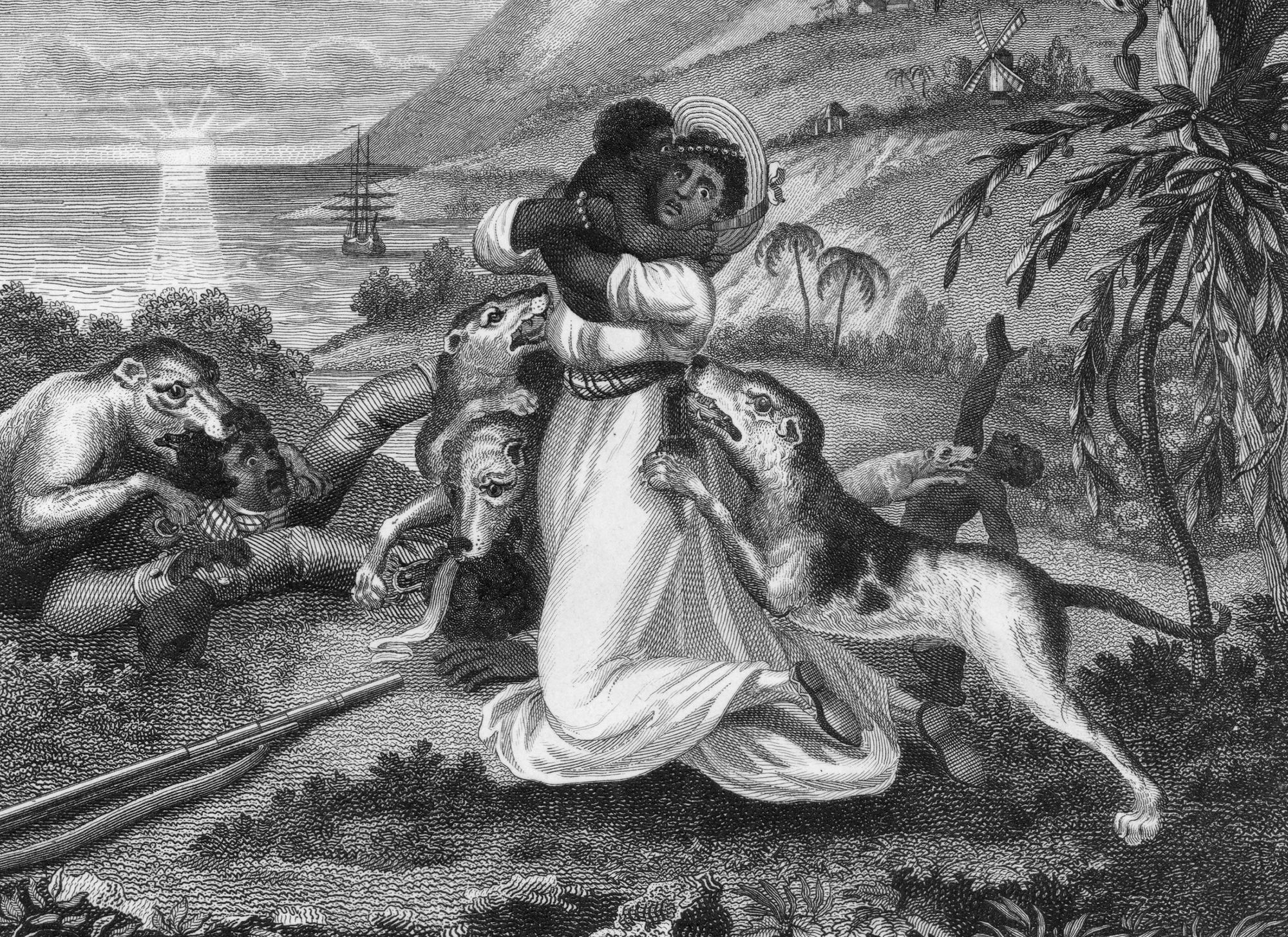 French colonizers used hundreds of hounds against enslaved people who rebelled during the Haitian Revolution (1791-1804), according to Tyler Parry, assistant professor of African American and African Diaspora Studies at the University of Nevada, and Charlton W. Yingling, Assistant Professor at University of Louisville. An 1805 engraving shows trained bloodhounds attacking a Black Haitian family. 