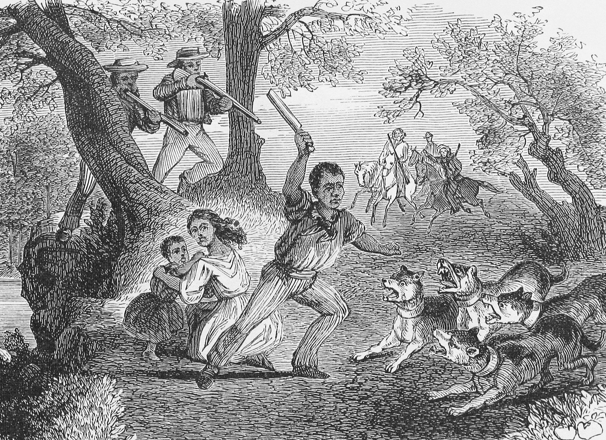 An 1864 engraving by Van Ingen & Snyder depicts an enslaved man protecting his family from bloodhounds. Dogs were used to hunt enslaved people of African descent in the U.S. who had attempted to escape as early as 1790, according to Dr. Parry and Dr. Yingling. 