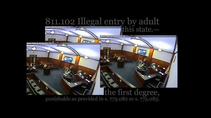Three screen captures from a video showing a courtroom scene where the judge sits at the bench on the right, and across a dark green carpet sits the prosecutor at a table. The images are overlaid on each other with edges overlapping. Behind the images in faded text appears language from the Florida immigration law that has been blocked by a federal judge.