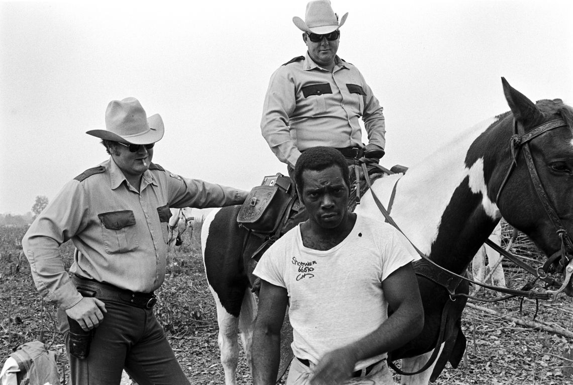 Cummins Prison Farm, 1975.