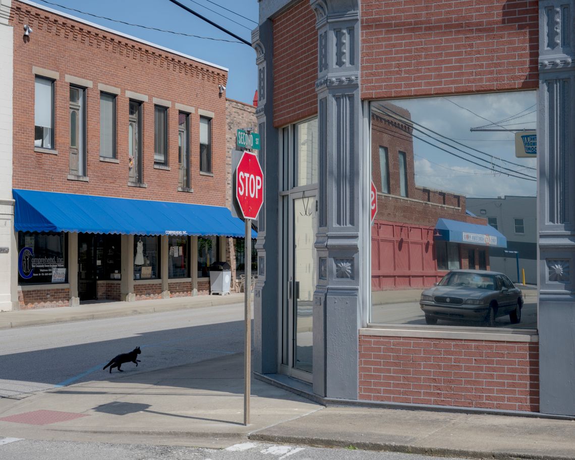 A black cat runs in the street next to a building with glass windows and a glass door to the right. On the left is a brick building with a blue awning.