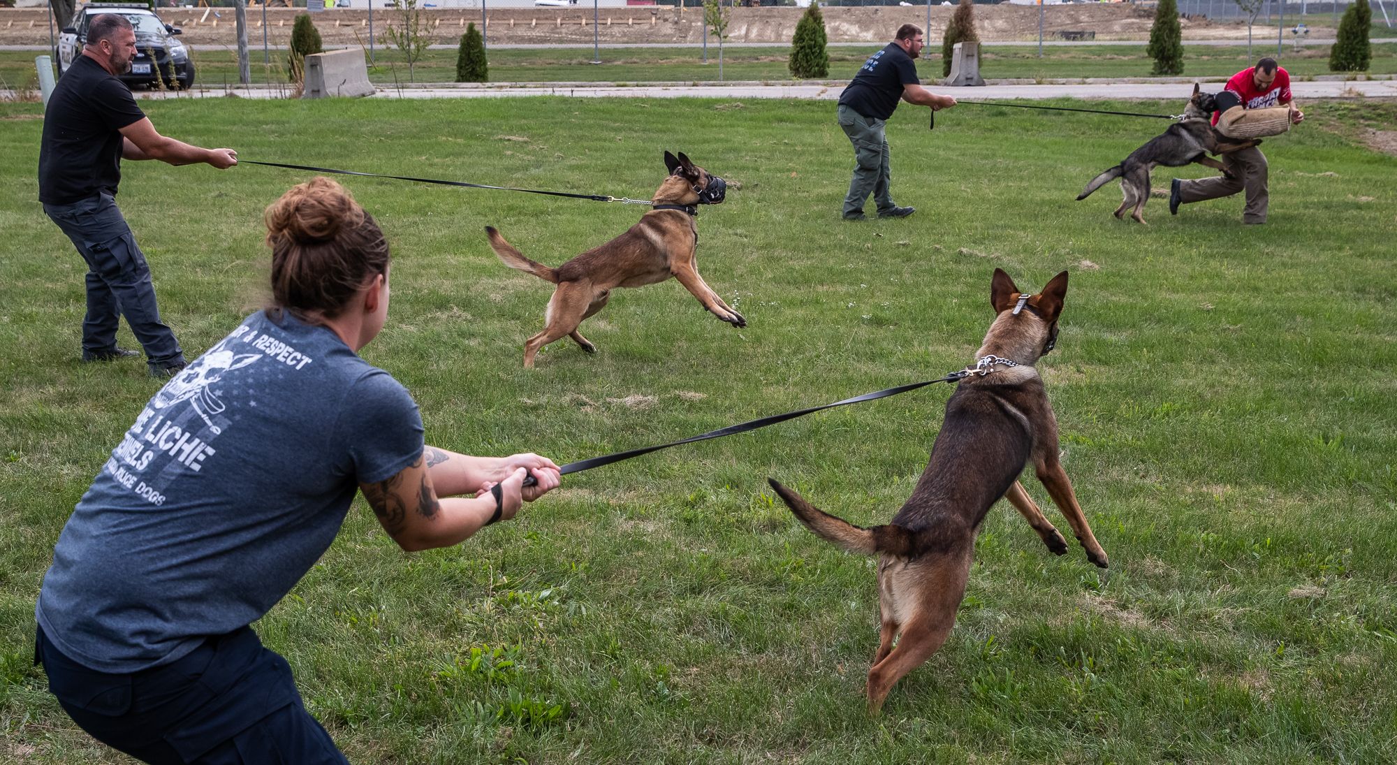 Law enforcement officers from around the United States train with their police dogs on how to capture a suspect at Vohne Liche Kennels, in Indiana, on Sept. 23, 2020. Dogs are muzzled for the protection of the man acting as a decoy, who is not wearing typical bite gear for this training exercise.