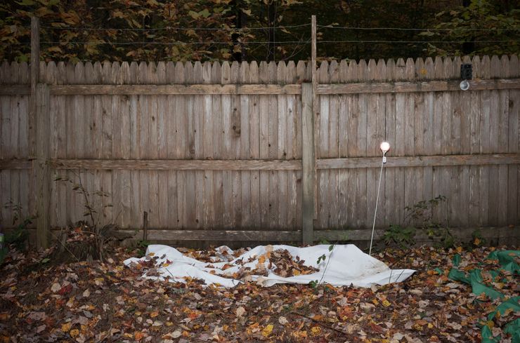 A body wrapped in plastic lies among fallen autumn leaves in front of a wooden fence.  Barbed wire lines the top of the fence.