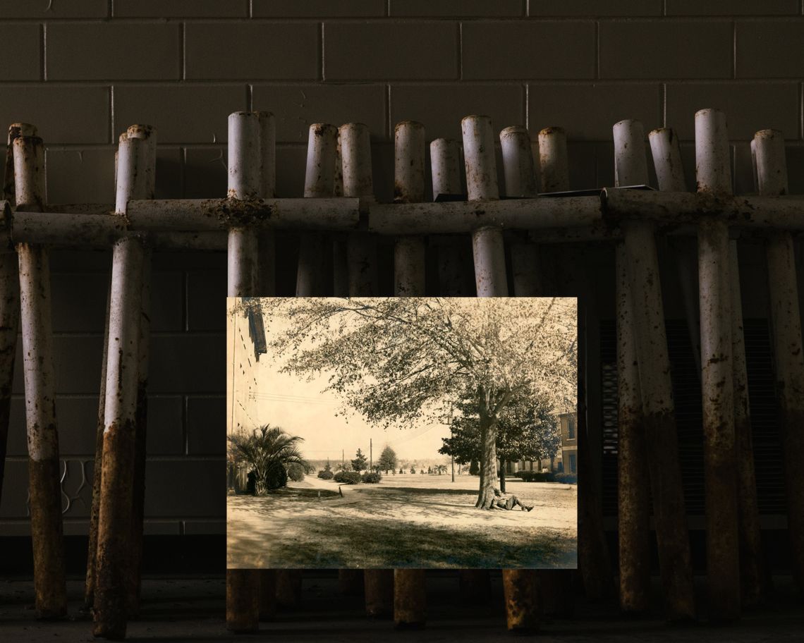 A photo of the Dozier School for Boys campus shows a young Black person sitting under a tree. This photo is overlaid on a photo of about a dozen white, rusting crosses, leaning against a tiled wall.