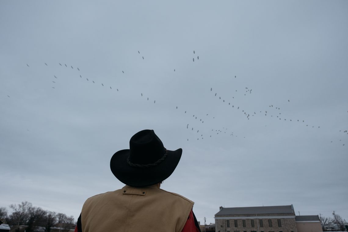 George Hall is seen from the back as he looks at birds flying in the sky. A building is in front of him on his right, and some trees in front of him on his left.