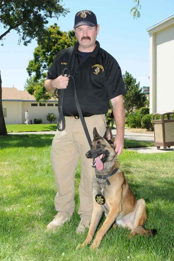 Drako, the dog who found more than a thousand cell phones in California prisons, with his handler Bryan Pyle.