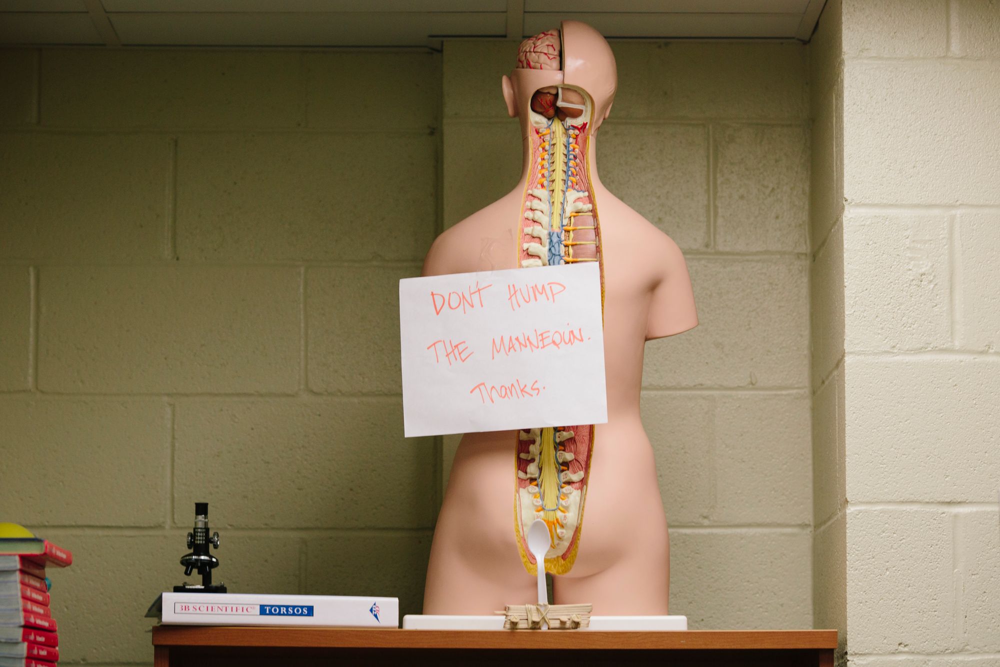 A scientific teaching model of the human body with a sign reading "Don't hump the mannequin. Thanks."