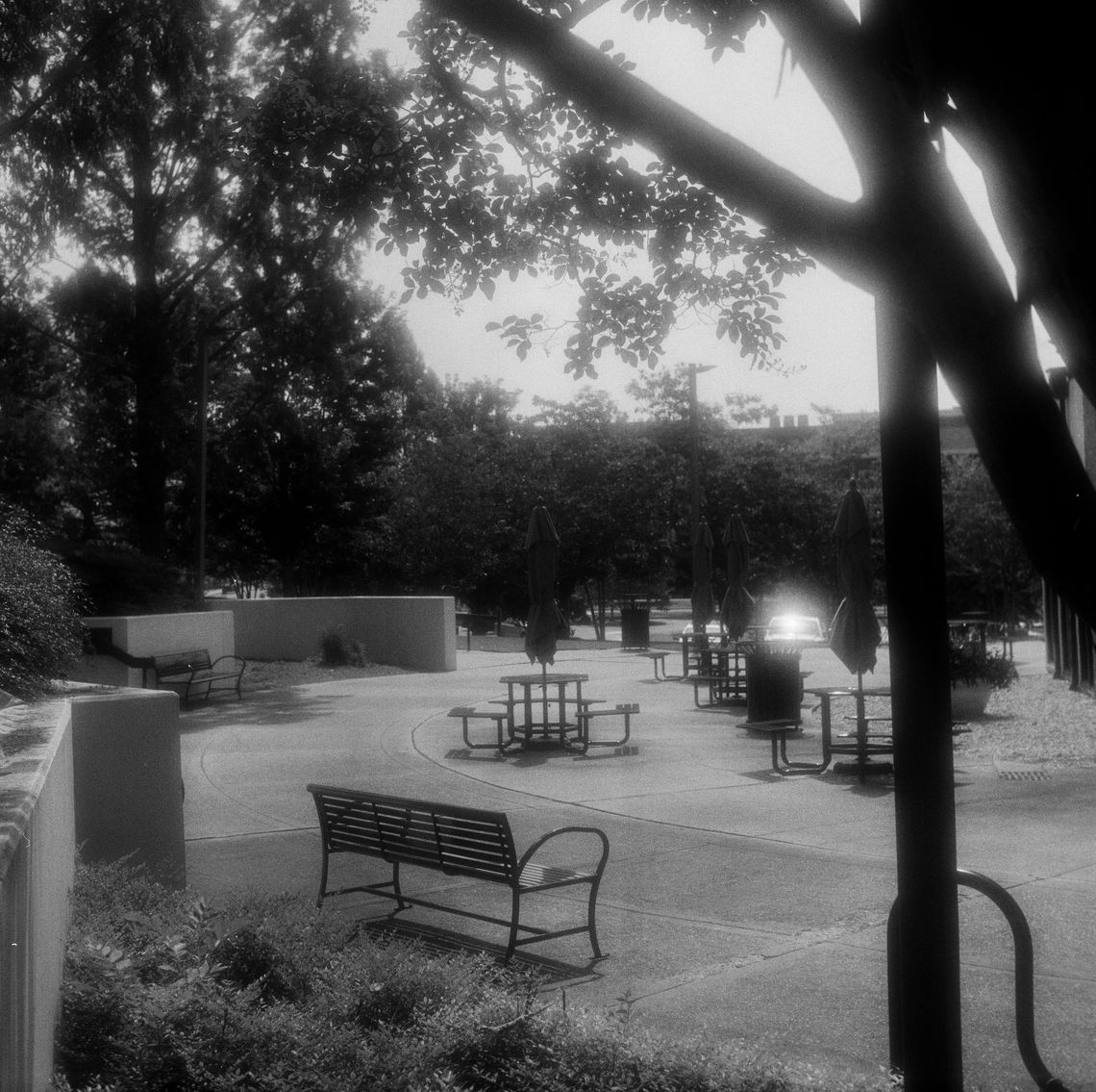 A black-and-white photo shows a metal bench and picnic tables at an outdoor area on a college campus. 