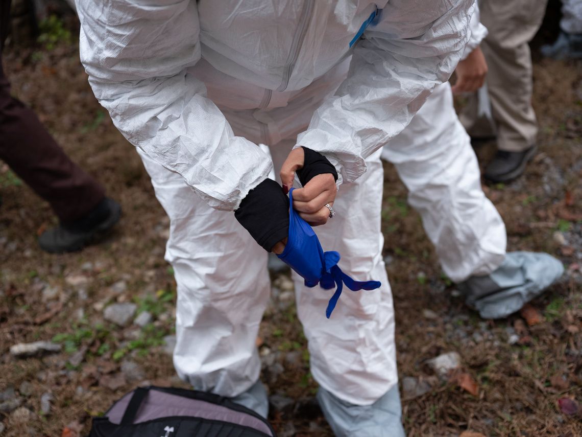 A student wearing a white hazmat suit puts on bright blue rubber gloves.