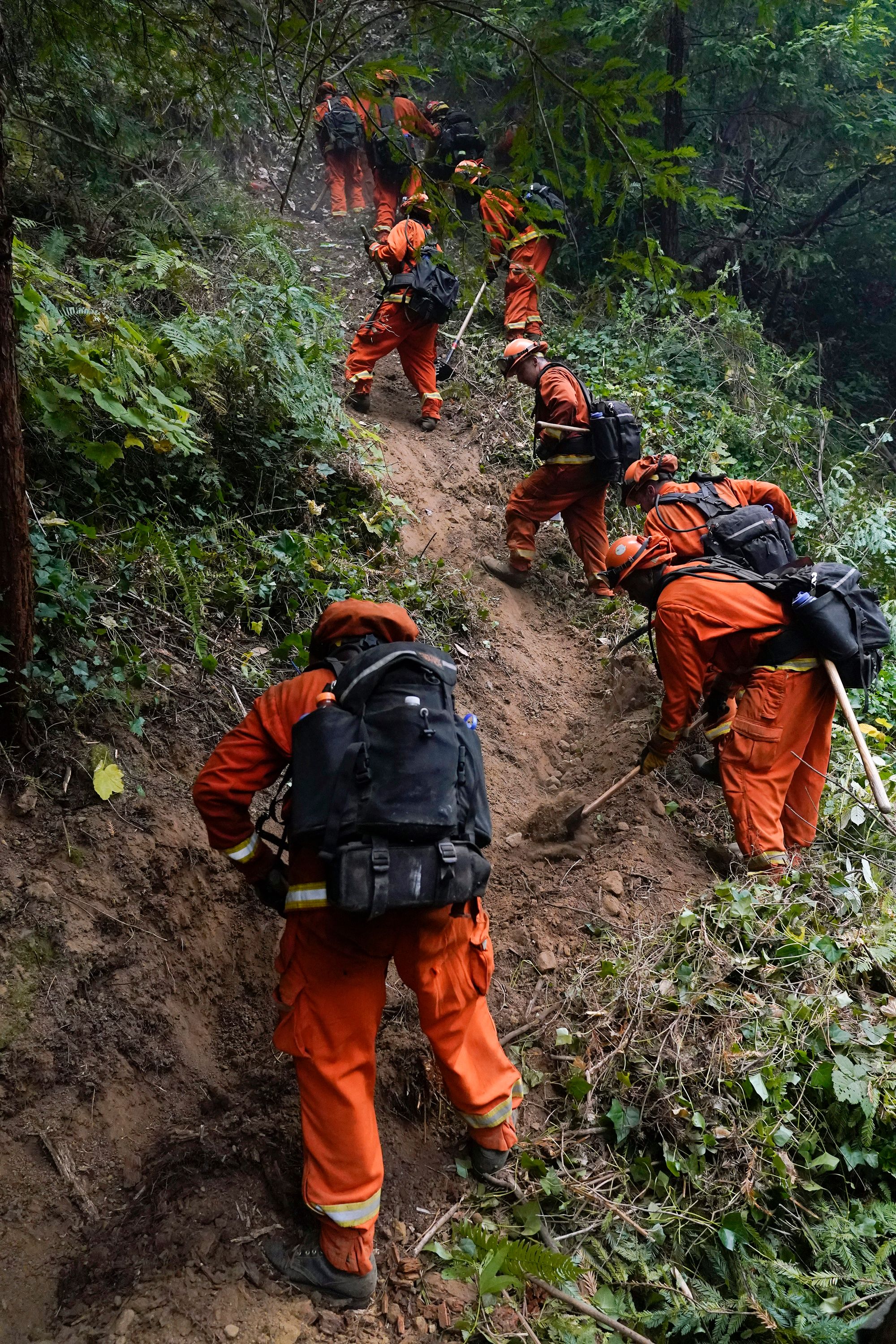 A California Department of Corrections crew builds a containment line to prevent the spread of the CZU August Lightning Complex Fire, on August 22, 2020, in Boulder Creek, California. 