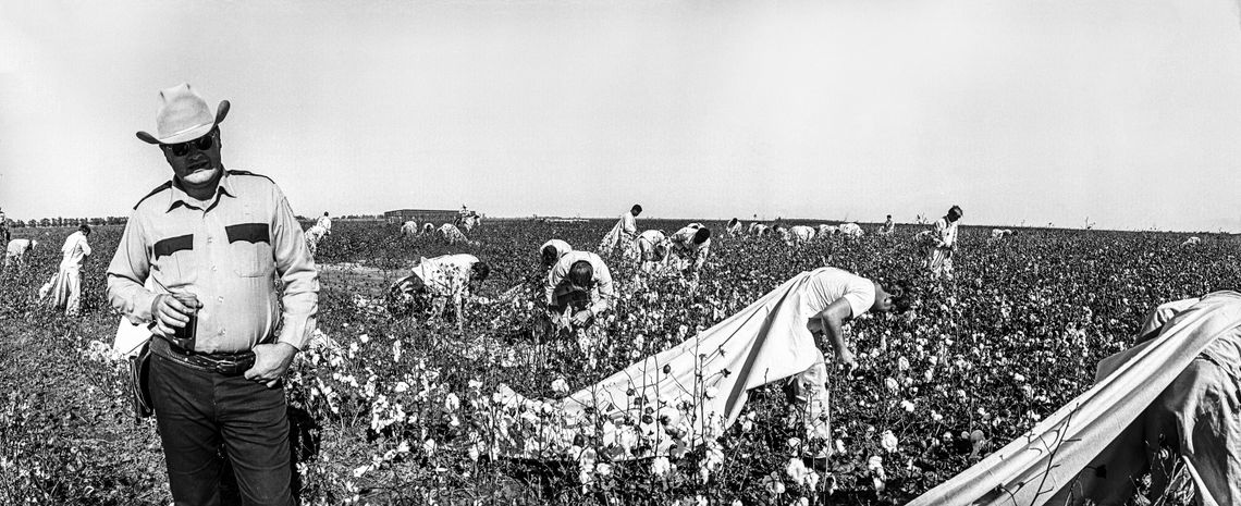 A field lieutenant with prisoners picking cotton at Cummins Prison Farm in 1975.