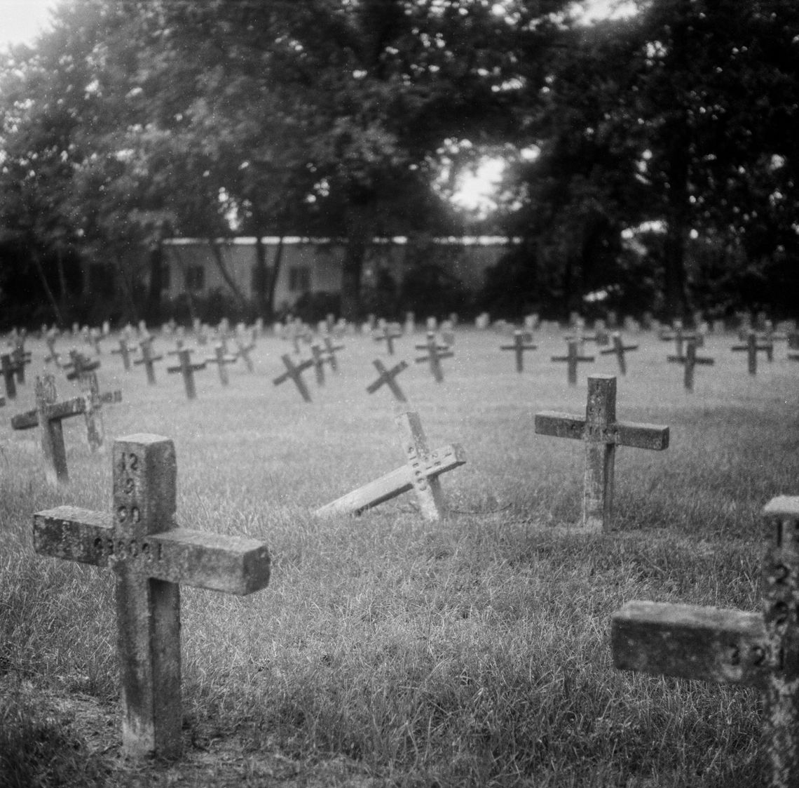 A black-and-white photo of crosses at a cemetery. A cross in the center of the frame is on its side. 