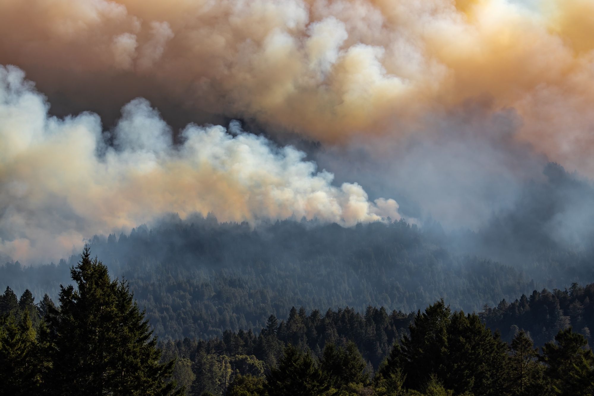 The CZU Lightning Complex fire, as seen from La Honda, California, on August 19, 2020. 