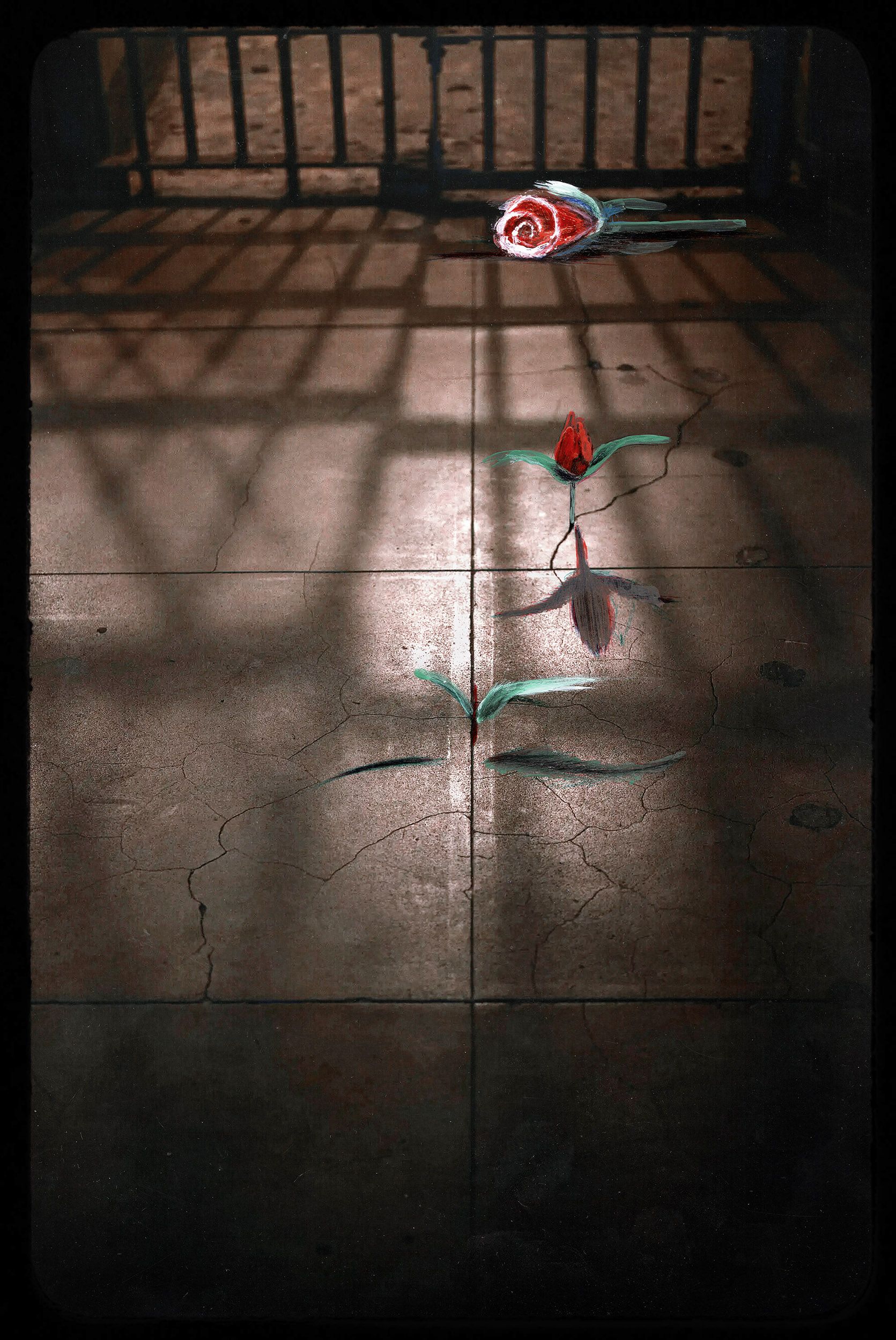 A mixed-media artwork shows a photo of the shadows of prison bars cast on the concrete ground, with a drawing of a rose growing from a crack in the concrete. Nearby is another drawing of a small plant growing from another crack, and a drawing of a rose lying on the ground. 