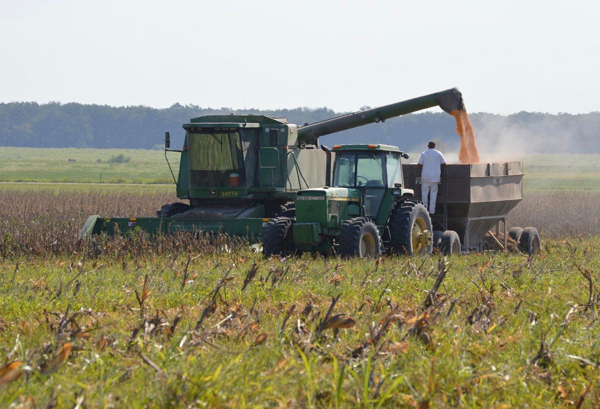 A prisoner at the Eastham Unit in Texas doing farm work in 2020.