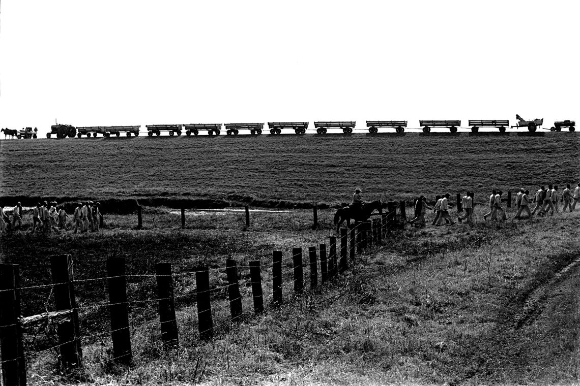 Travel carts near the Cummins Prison Farm, 1975.