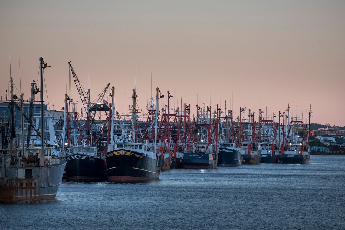 Guatemalan immigrants pack seafood in plants along the waterfront in New Bedford. Because many are undocumented, they were excluded from most federal COVID-19 relief, despite being essential food workers and paying taxes. 