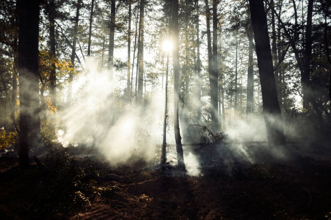 The sun peeks through smoke in the wilderness of Sonoma County while much of the area burned with wildfire.