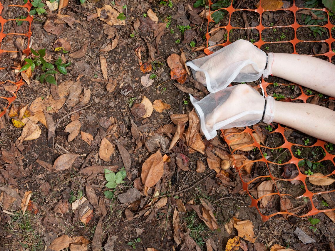 The feet of a body are covered by netted bags and lie on the ground, which is covered by autumn leaves. 