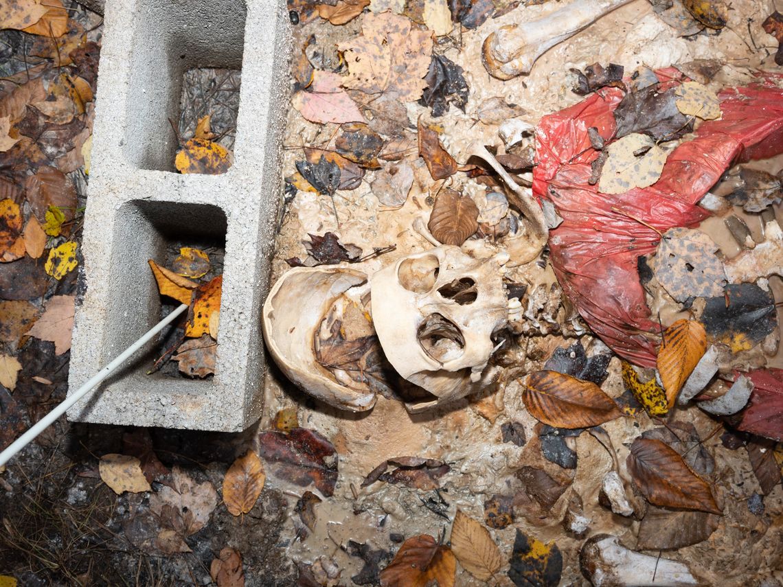 A skull lies in a pile of autumn leaves, with a reddish-orange plastic autopsy bag and a concrete block nearby. 