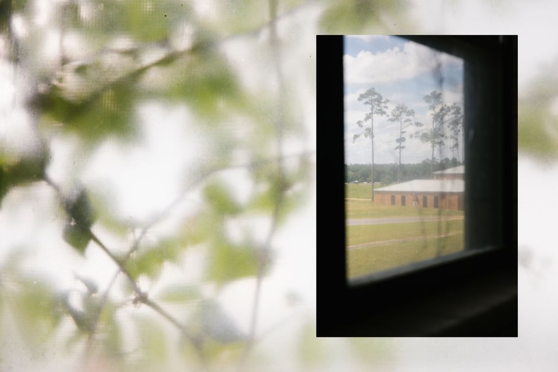 A photo showing a dark interior of a room with a window looking out onto a school campus is overlaid on a photo of plants with green leaves against a frosted window.