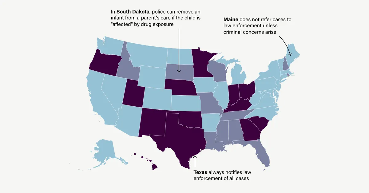 “Protecting Innocent Lives: Tracking Police Referrals for Drug Use Among Pregnant Women”